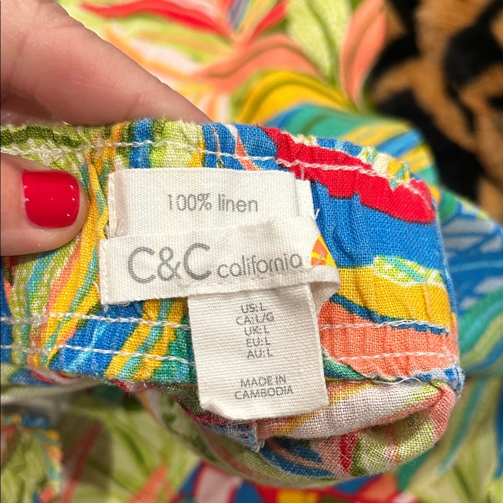 C&C California Bright Multicolor Striped Linen pant